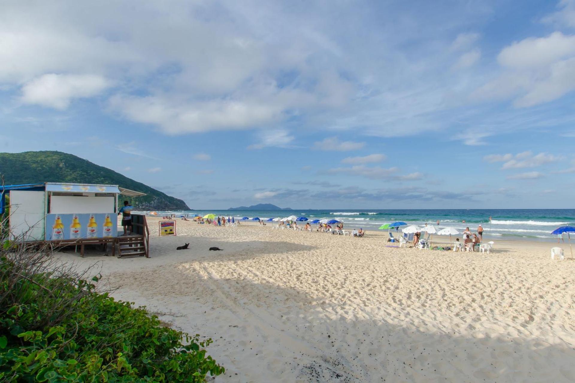 Aconchego Com Piscina A 450M Da Praia Vc1555 Appartement Florianópolis Buitenkant foto